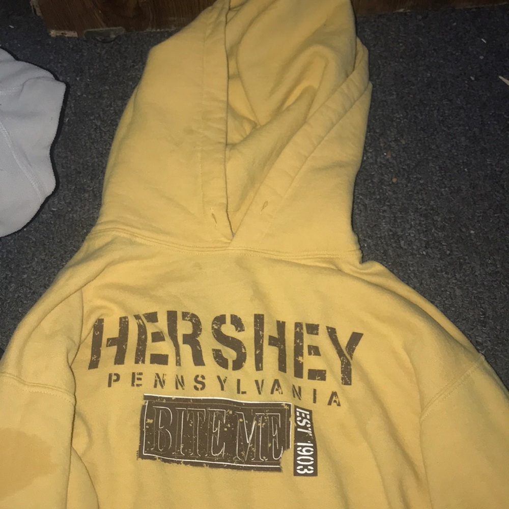 HERSHEY pullover hoodie